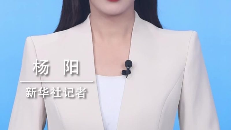 四川企业数字化解决方案的技术选型逻辑